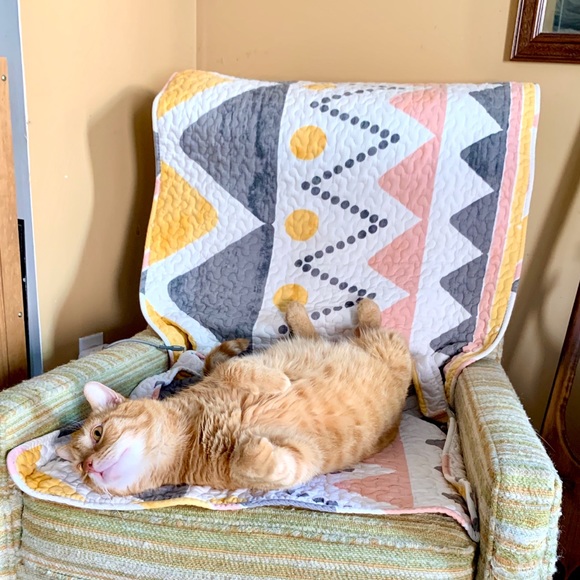 Meet Your Seller :) - Picture 7 of 11